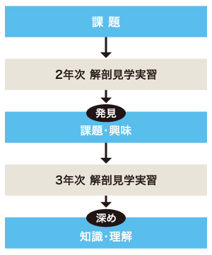指定国立大学法人※に認定された名古屋大学医学部